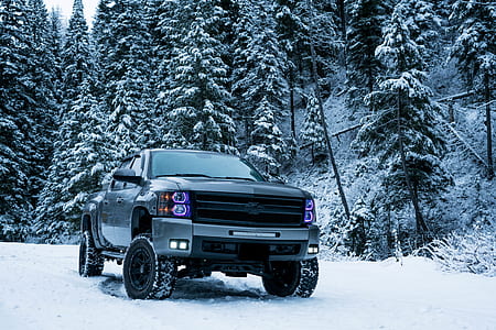 pickup truck on snow covered road near trees during day thumbnail