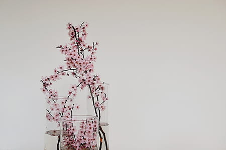 pink flowers in glass vase thumbnail