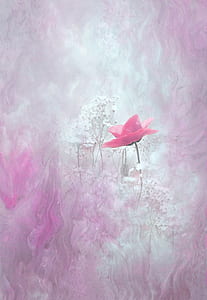 pink and white flowers thumbnail