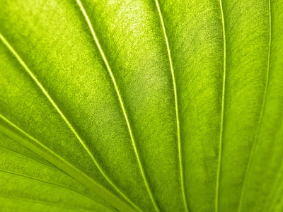 green textile thumbnail