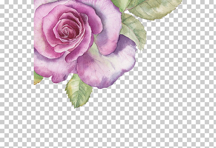 Watercolour Flowers Watercolor painting Rose, Hand-painted purple flowers, purple rose PNG clipart