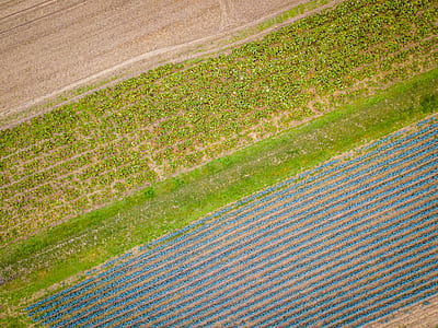 aerial photo of green lawn grasses thumbnail