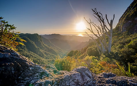 view of mountain range during sunrise thumbnail
