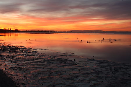 seashore and sea thumbnail