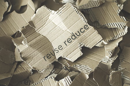 Photo of Pile of Ripped Carton thumbnail