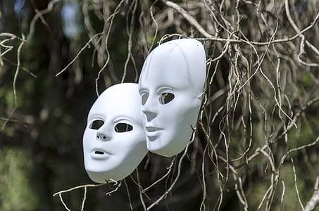 shallow focus photo of white volto masks on brown tree stems thumbnail