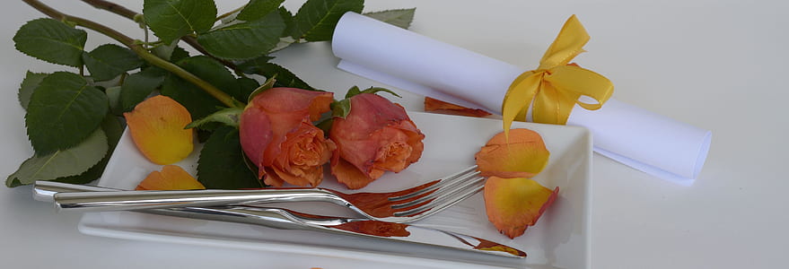 stainless steel for and knife on white platter thumbnail