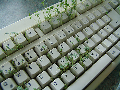 white computer keyboard with green grasses thumbnail