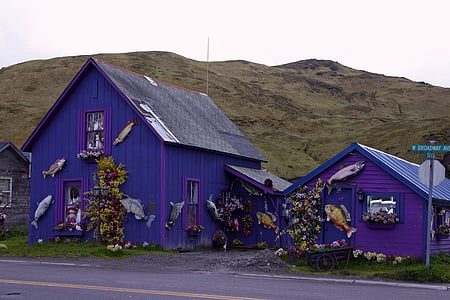 purple houses thumbnail