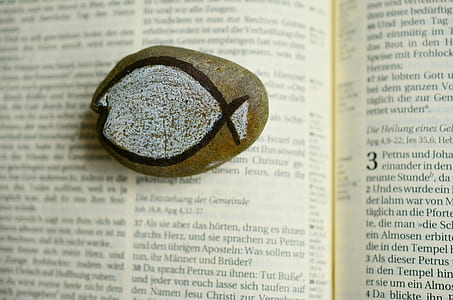 stone, symbol, fish symbol, christian faith, christianity, bible thumbnail