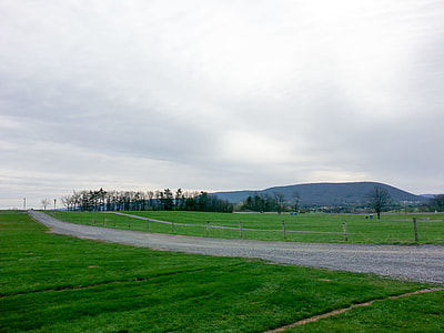 gray asphalt road surrounded by grass thumbnail