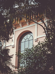 pink concrete house near bush plants thumbnail