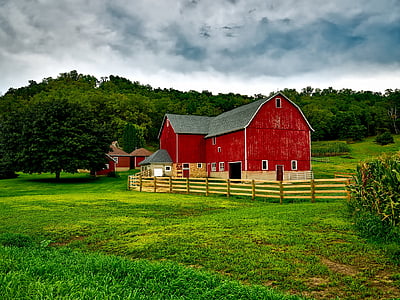 red and brown wooden house near trees during daytime thumbnail