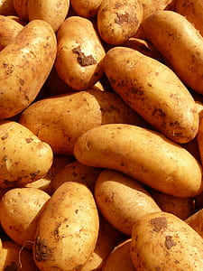 bunch of potatoes thumbnail