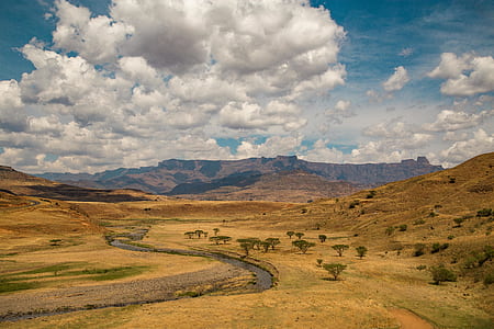 creek and trees under white clouds and blue sky thumbnail