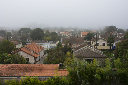 aerial view of houses surrounded trees thumbnail