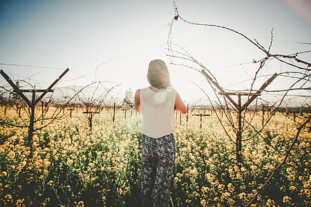 woman with white sleeveless shirt standing between yellow petaled flower field during daytime thumbnail