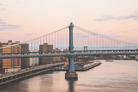 gray suspension bridge near high-rise building thumbnail