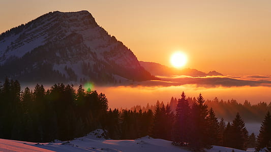 landscape photography of silhouette of trees near mountain thumbnail