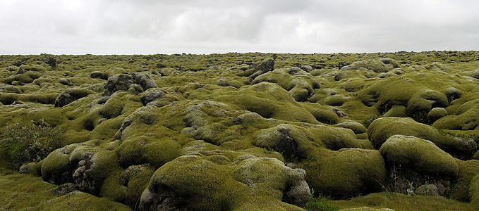 rock formation field during daytime thumbnail