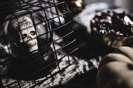 Halloween Decorations thumbnail