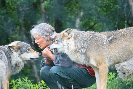 woman wearing gray bottoms sitting beside two wolves thumbnail
