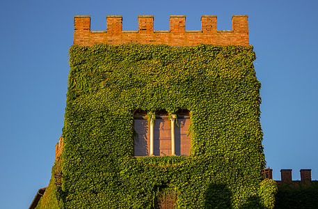 Tuscany, Italy thumbnail