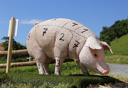 pink pig on grass field thumbnail