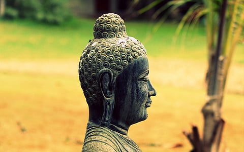 Gautama Buddha figure thumbnail