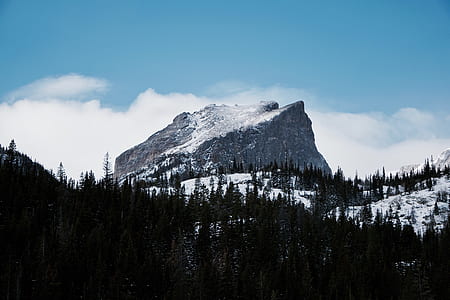 silhouette of pine trees near rocky mountain thumbnail