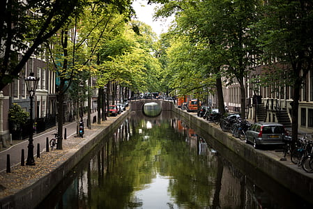 cars beside body of water thumbnail