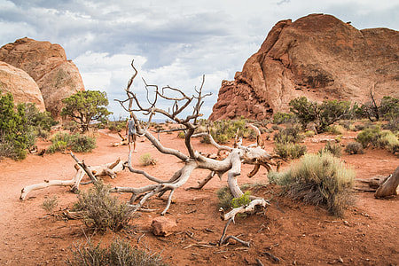 Utah Nature Cliché thumbnail