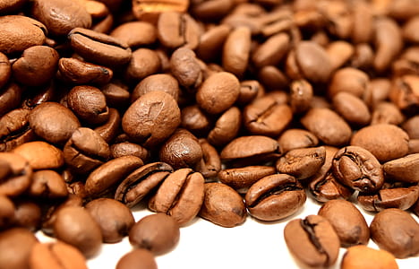 bunch of coffee beans thumbnail