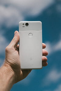 person holding very silver Google Pixel XL smartphone thumbnail