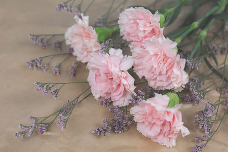 pink flowers thumbnail