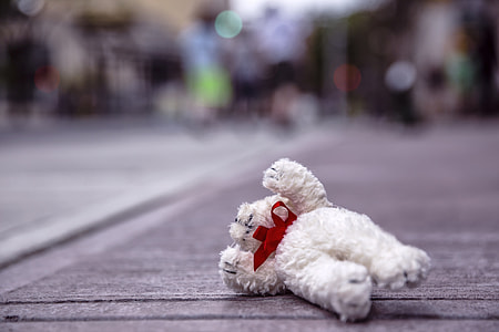 white teddy bear on road thumbnail