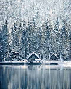 snow covered house near trees thumbnail
