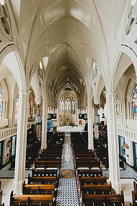 cathedral vault above pews thumbnail