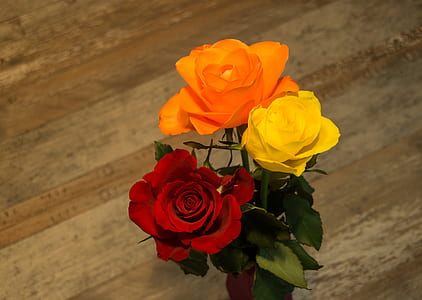 three orange, yellow, and red artificial rose flowers thumbnail