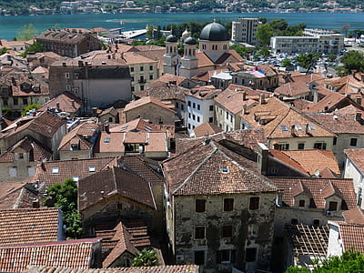brown houses near river aerial photography at daytime thumbnail