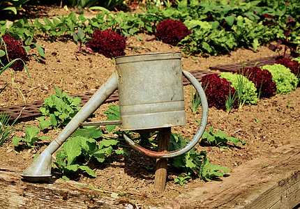 gray watering can hanging on wooden stand near green leafed plants thumbnail