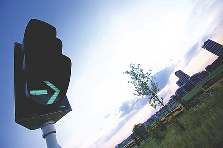 traffic light near tree thumbnail