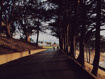 person near trees thumbnail