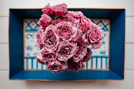pink flowers on top of blue case thumbnail