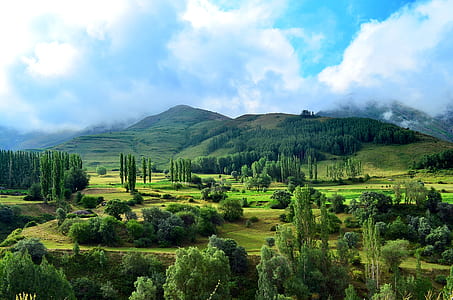 mountain with trees under blue sky thumbnail