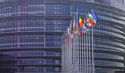 nation flags on gray poles beside building thumbnail