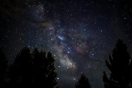 trees under starry sky thumbnail