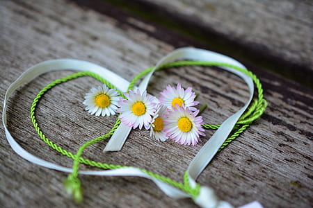 five white petaled flowers between heart ribbon thumbnail