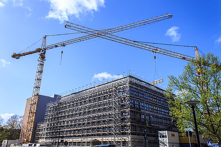 green leafed tree beside crane thumbnail