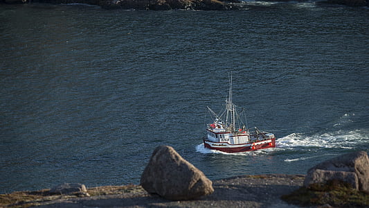 fishing, sea, beach, water thumbnail